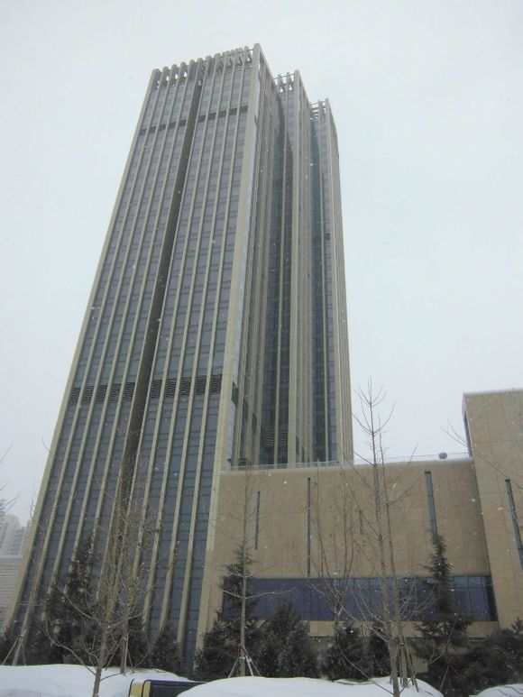 ���Ӽ��Ź���