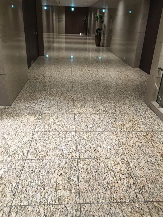 ���Ӽ��Ź���