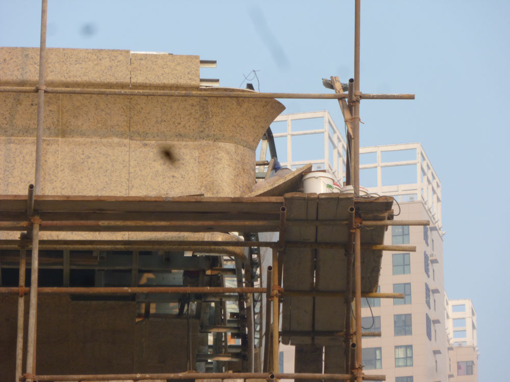 ���Ӽ��Ź���