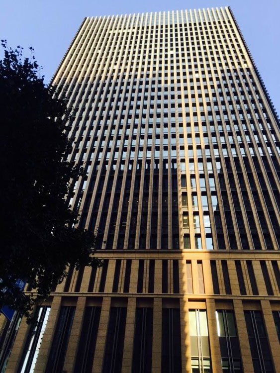 ���Ӽ��Ź���