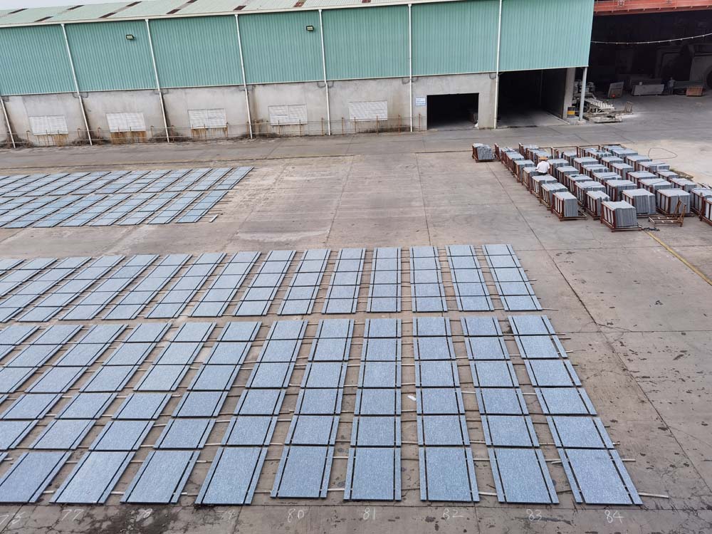 ���Ӽ��Ź���