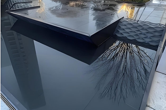 �ڽ�ɳ�����ҵ�һЩ��Ҫ��;